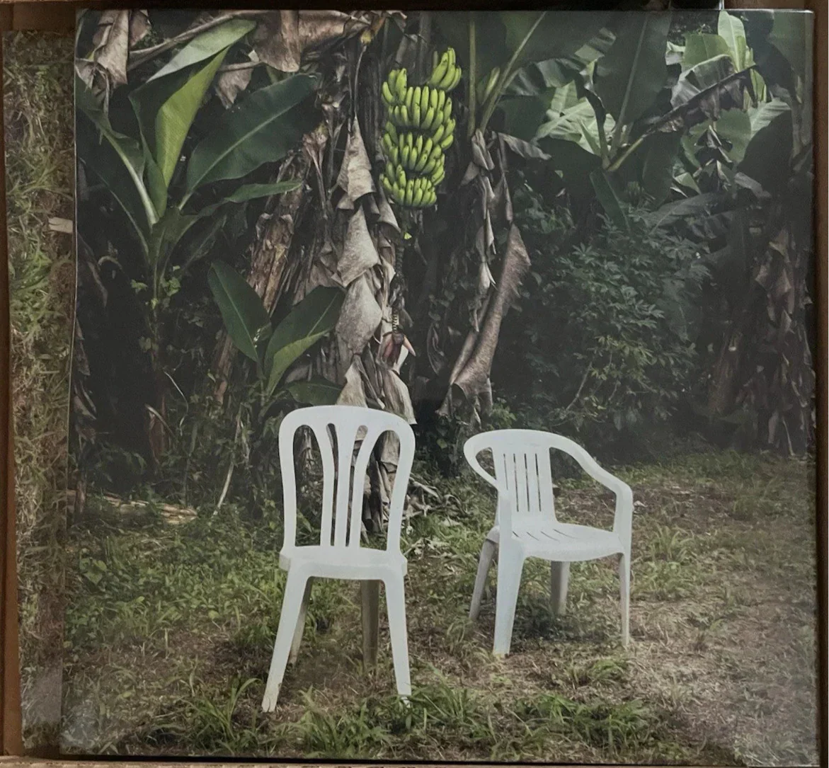 Bad Bunny - Debí Tirar Más Fotos (2xLP, Album, Blu)