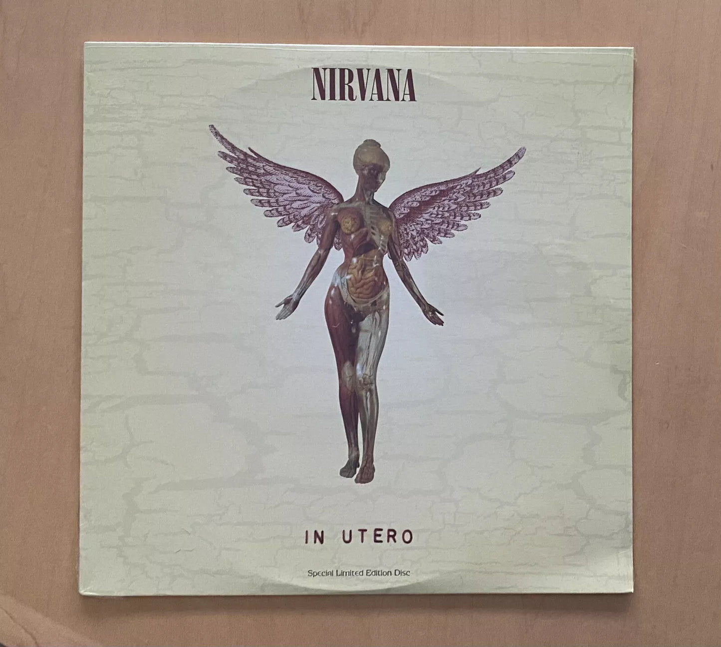 Nirvana – In Utero (LP, Album, Limited Special Edition, Clear Vinyl)