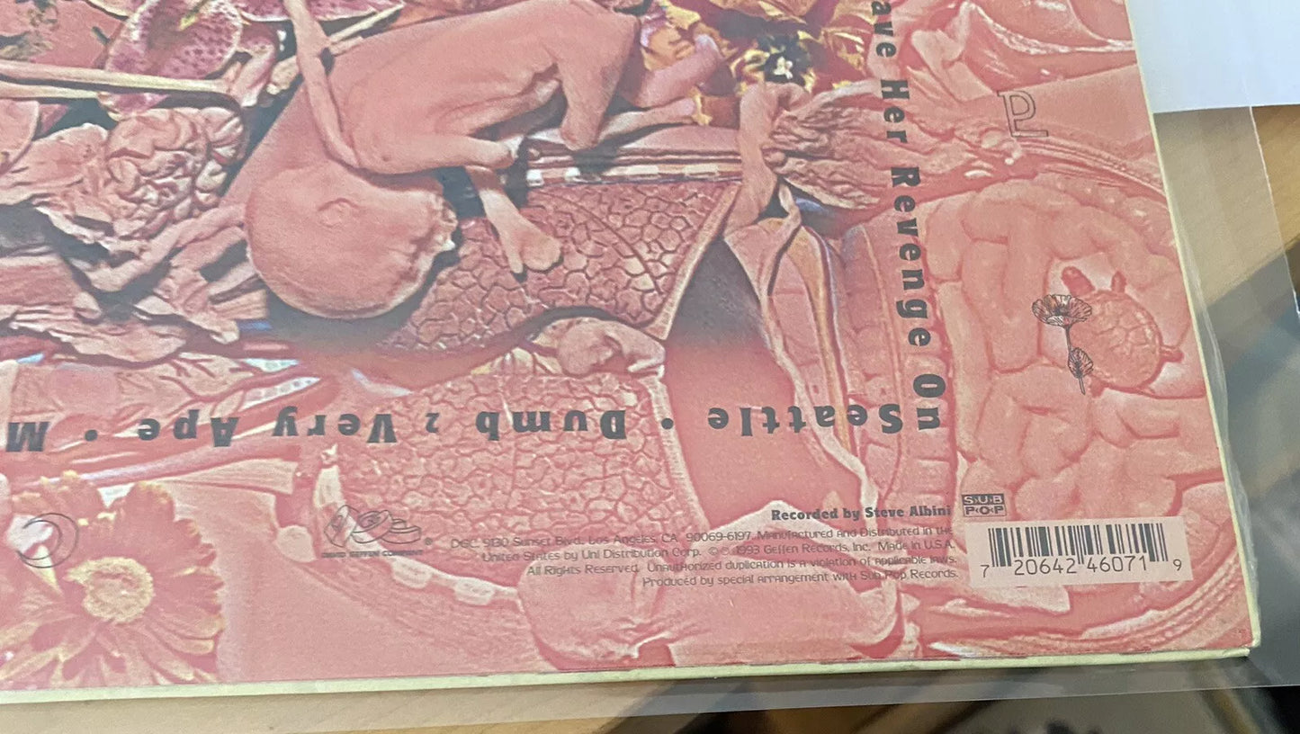 Nirvana – In Utero (LP, Album, Limited Special Edition, Clear Vinyl)