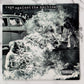 Rage Against The Machine - Rage Against The Machine (LP, Album)