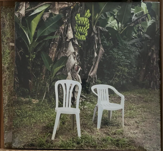 Bad Bunny - Debí Tirar Más Fotos (2xLP, Album, Blu)