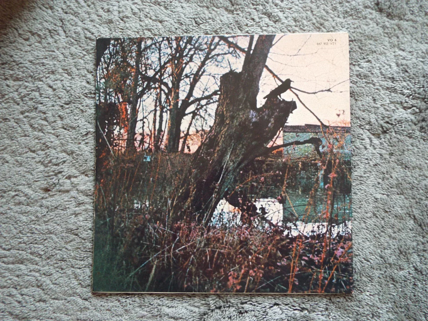 Black Sabbath - Black Sabbath (LP, Album, Pho)