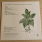 Mort Garson - Mother Earth's Plantasia (LP, Album)