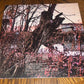 Black Sabbath - Black Sabbath (LP, Album, Ltd, Num, RE, 180)