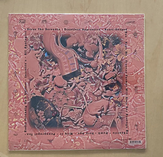 Nirvana – In Utero (LP, Album, Limited Special Edition, Clear Vinyl)